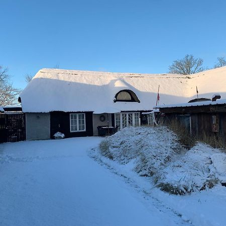 Farm61 Badehotellet I Det Midtjydske - Alder +18 Ar Tjele エクステリア 写真