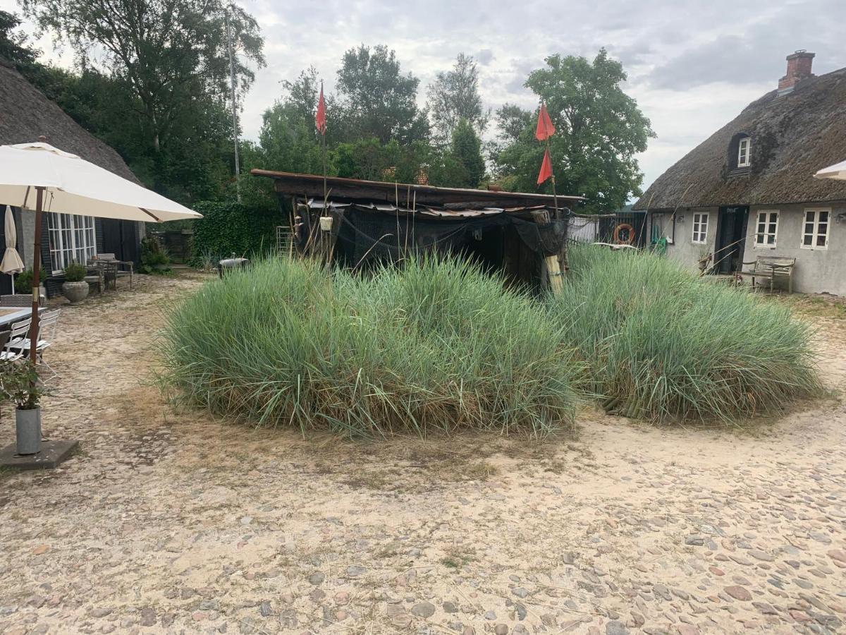 Farm61 Badehotellet I Det Midtjydske - Alder +18 Ar Tjele エクステリア 写真