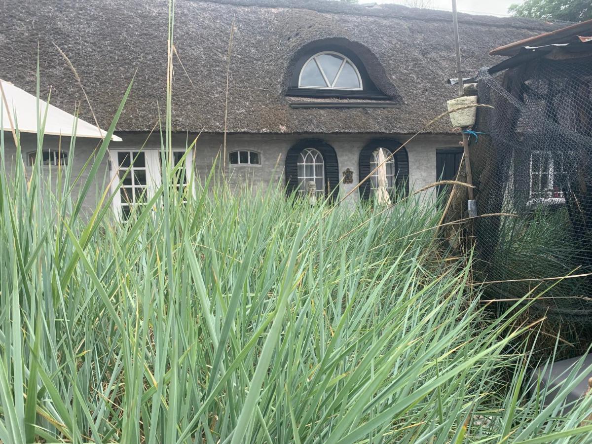 Farm61 Badehotellet I Det Midtjydske - Alder +18 Ar Tjele エクステリア 写真