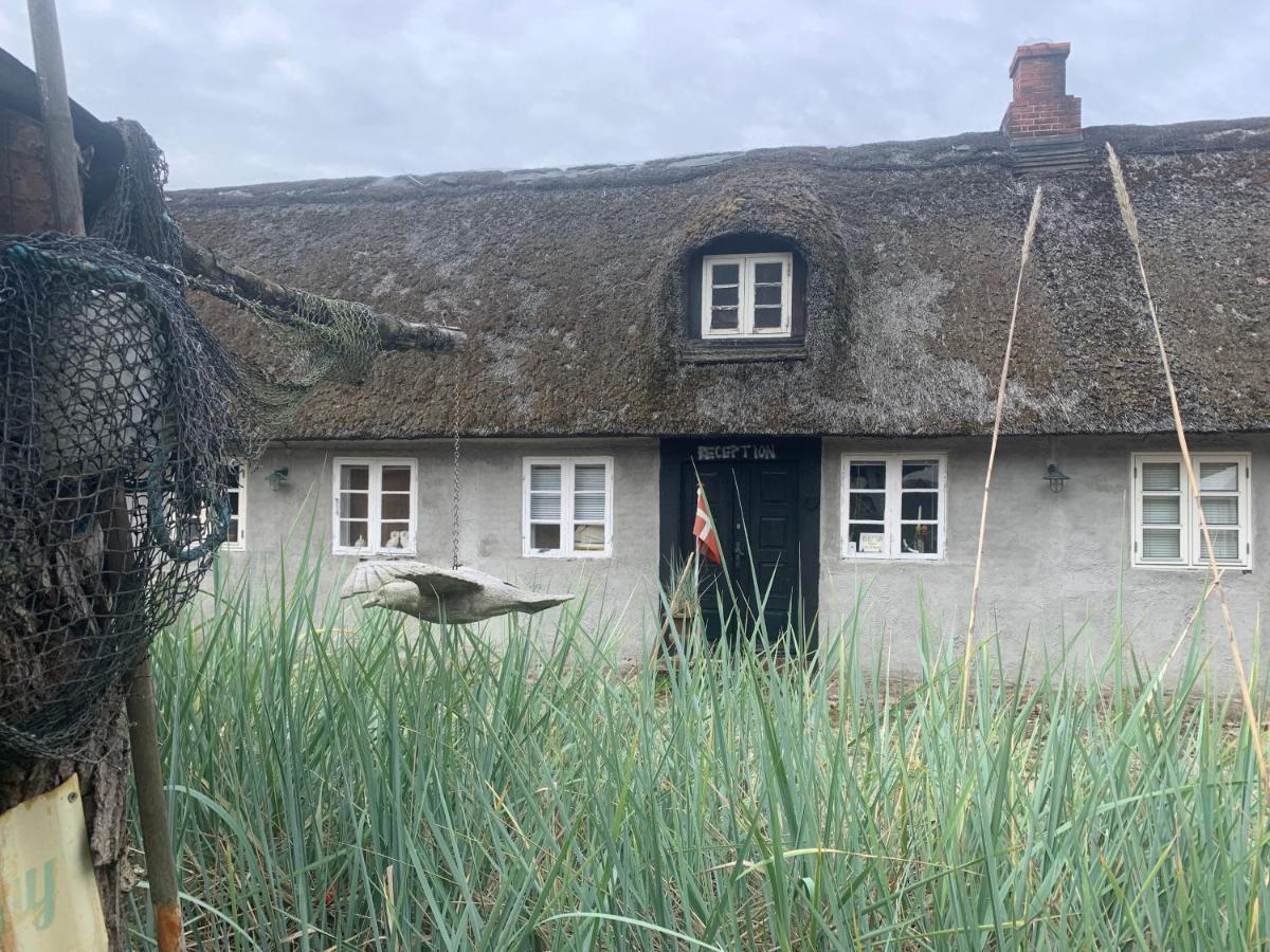 Farm61 Badehotellet I Det Midtjydske - Alder +18 Ar Tjele エクステリア 写真