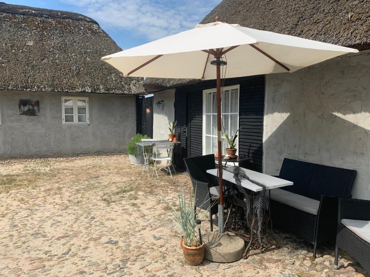 Farm61 Badehotellet I Det Midtjydske - Alder +18 Ar Tjele エクステリア 写真