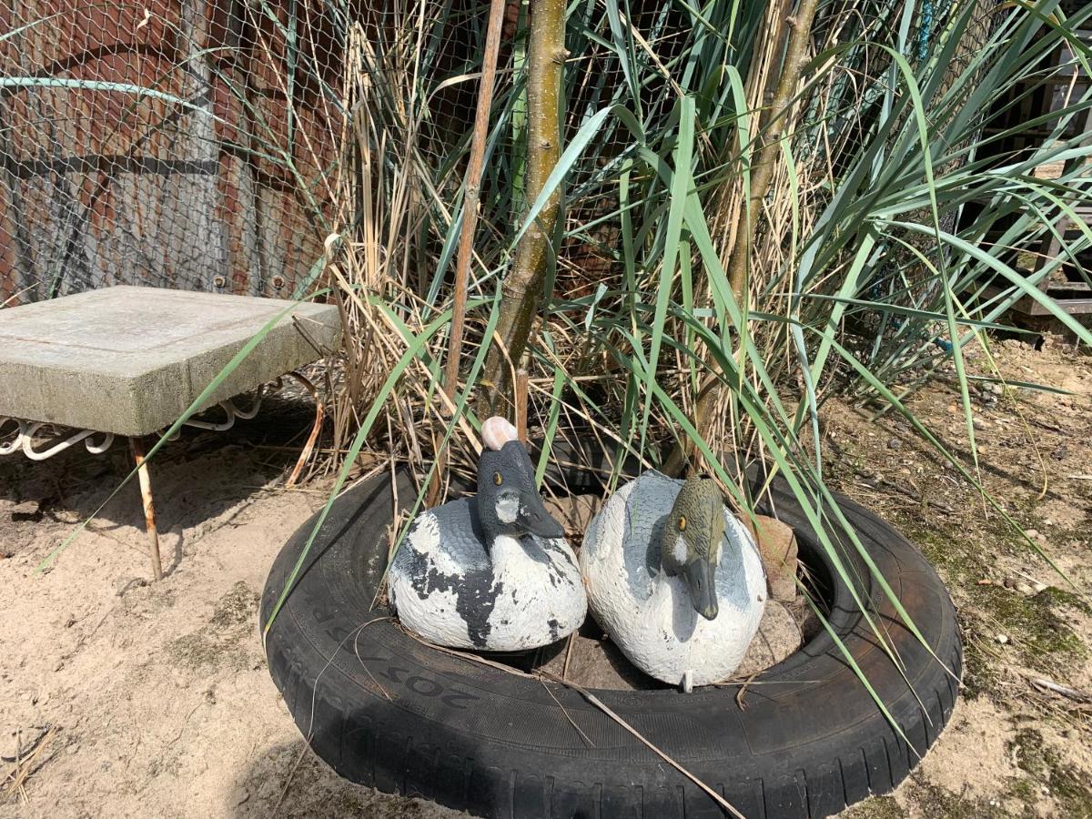 Farm61 Badehotellet I Det Midtjydske - Alder +18 Ar Tjele エクステリア 写真