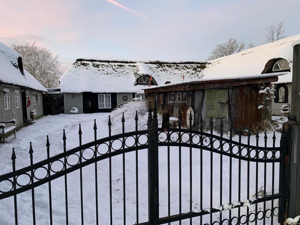 Farm61 Badehotellet I Det Midtjydske - Alder +18 Ar Tjele エクステリア 写真